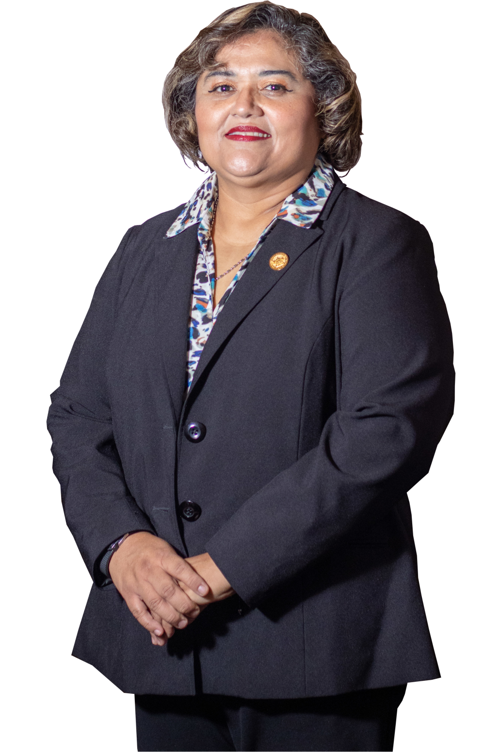Secretaria Suplente